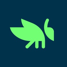 Activities of Grasshopper: Learn to Code