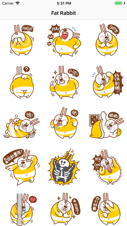 Fat Rabbit