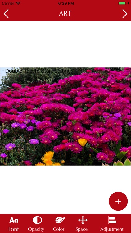 InsFocus-Beauty your posts screenshot-3