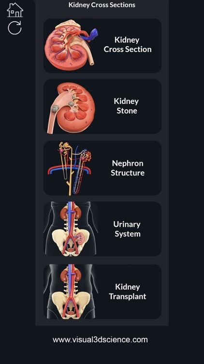 My Kidney Anatomy screenshot-1