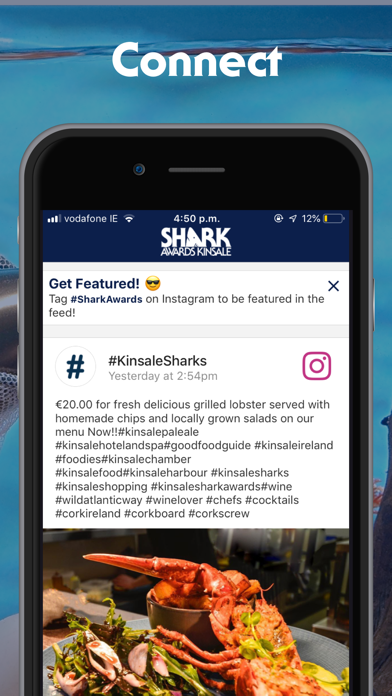 Kinsale Shark Awards screenshot 3