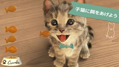 小さな子猫 screenshot1