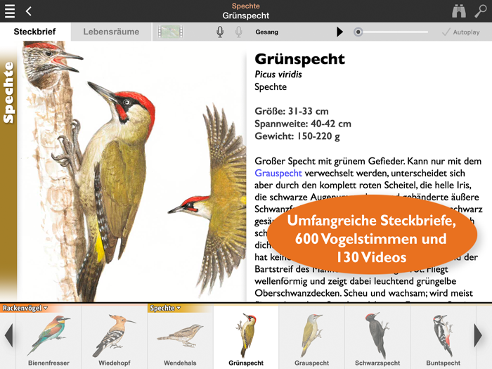Vögel Europas bestimmen