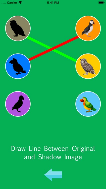 DragDropandCroosMatchBird screenshot-3