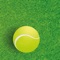 Tennis 3D is a perfect tennis game offering a great graphics and four available types of surfaces