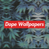 Abdelkrim Mabkhout - HD Dope Wallpapers アートワーク