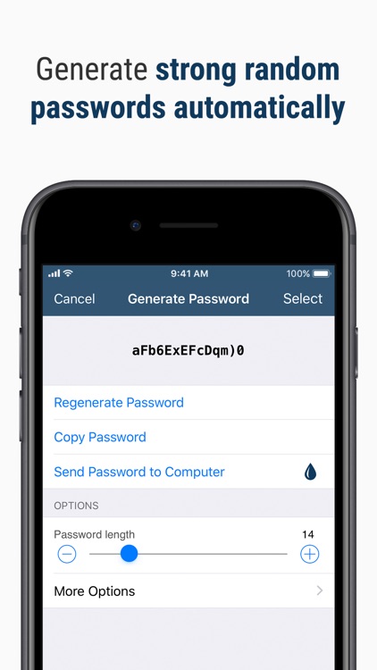 Bluink Key - Password Manager screenshot-3