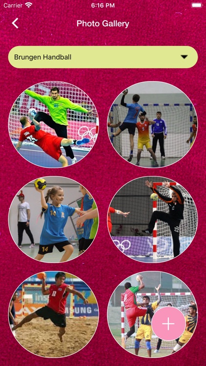 Danemini Handball screenshot-8