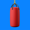 Heavy Bag Workout - Peter Rogers