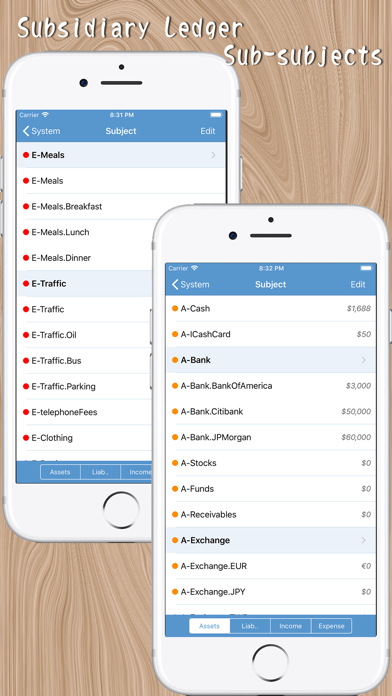 AccountingBook - MyAsset LT V2 screenshot 3