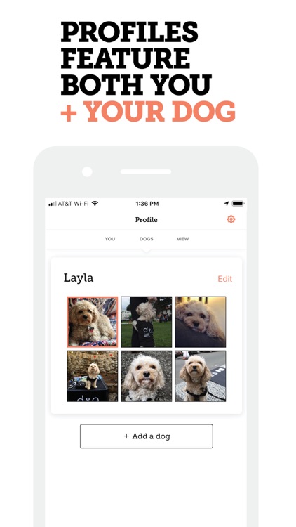 Dig - Dog Person’s Dating App
