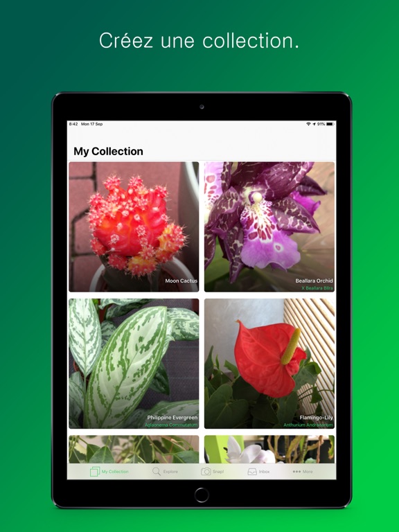 PlantSnap: Fleurs et arbres PlantSnap: Fleurs et arbres