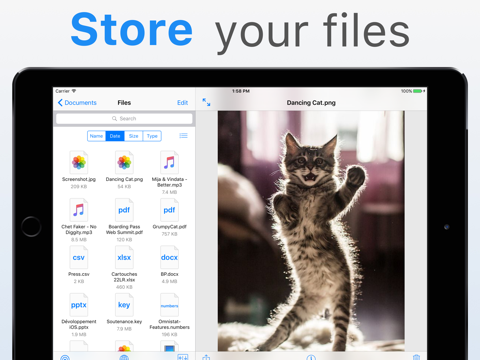 File Manager  Wireless Storage - náhled