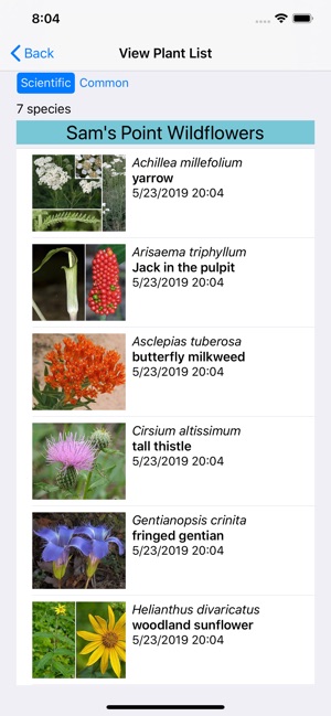 Indiana Wildflowers(圖7)-速報App