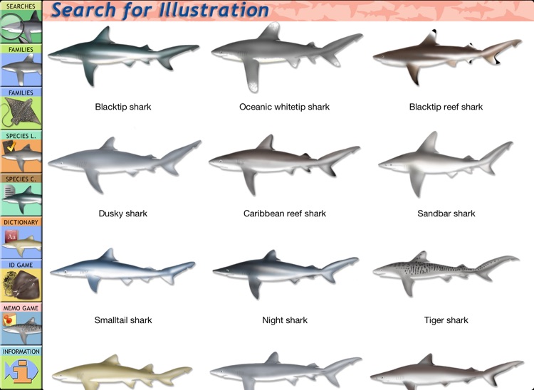 Sharks & Rays screenshot-1