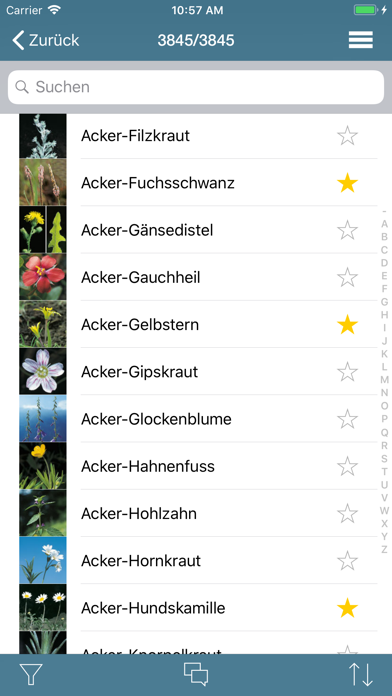 How to cancel & delete Flora Helvetica Mini deutsch from iphone & ipad 2