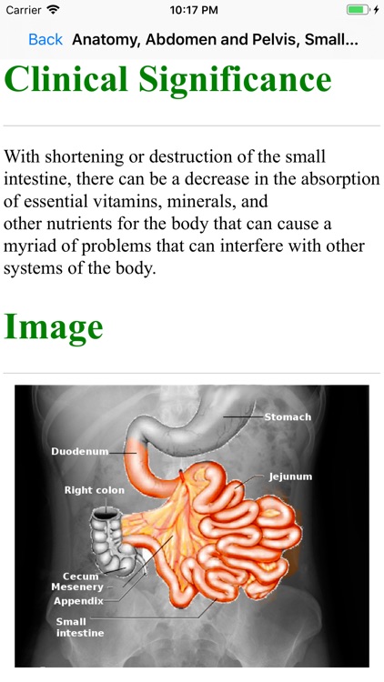 Medical Quizzing screenshot-3