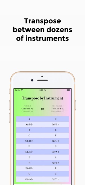 InsTranspose(圖2)-速報App