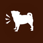 Bad Pug - Creative Studio