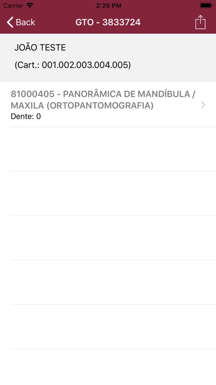 Audit DATASYS Padrão screenshot-5