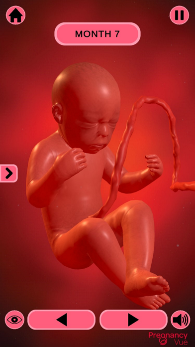 PregnancyVue screenshot 3