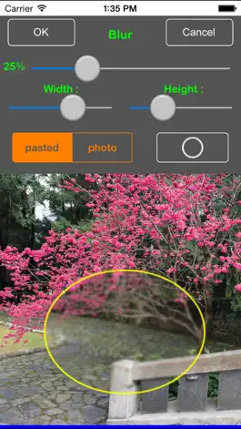 Game screenshot TC Photo Editor mod apk