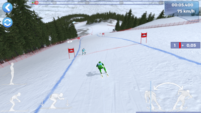 Alpine Arena screenshot 4