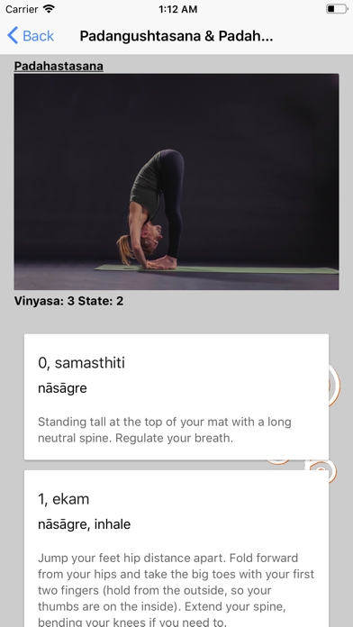 Ashtanga Yoga Primary Series screenshot 4