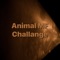 In Animal MF Challange application, there are low, mid and high levels of questions