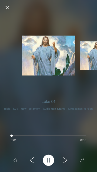 King James Audio Bible Book screenshot 4