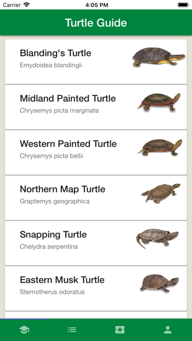 Turtle Guardians screenshot 2