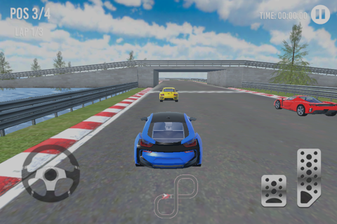 Car Racing Cup 3D - náhled