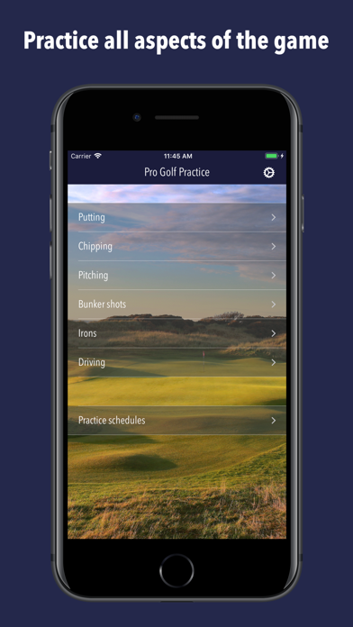Pro Golf Practice screenshot 3