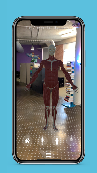 Anatomy AR+ screenshot 3