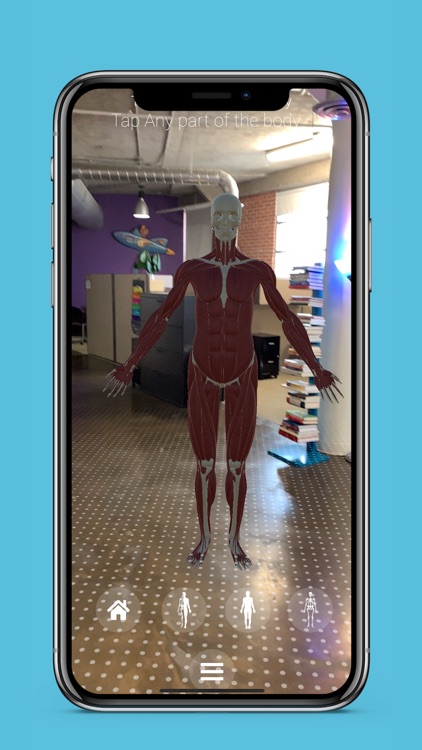 Anatomy AR+