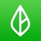 Branch allows you to access a portion of your earned wages before payday