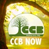 CCB Now for iPad