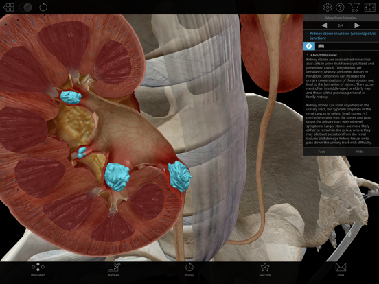 Physiology & Pathology screenshot 4