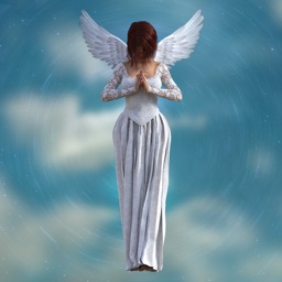 Psychic Angel Cards