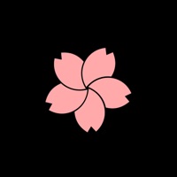 Sakura Sondrio pour PC