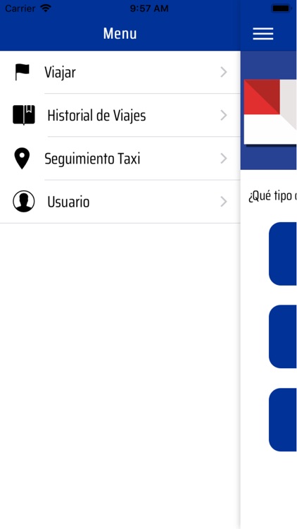 TaxiOficial screenshot-3