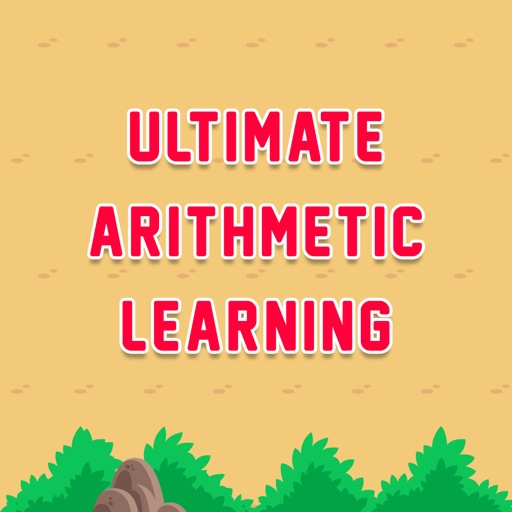 Ultimate Arithmetic Learning