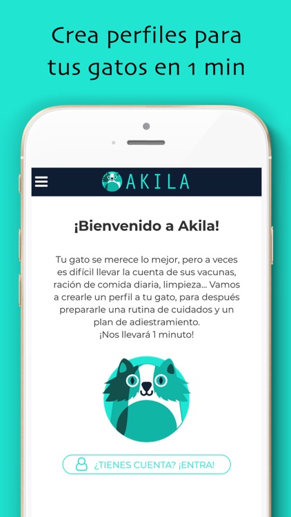 Akila: Adiestra a tu gatito