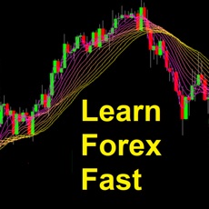 Activities of Forex offline trainer