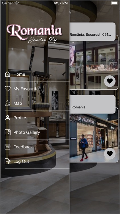 Romania Jewelry Shop screenshot-6
