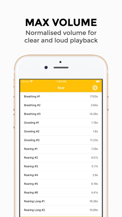 Roar - Lion Sounds screenshot 2