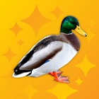 Top 37 Entertainment Apps Like Quack Pro - Duck Sounds - Best Alternatives