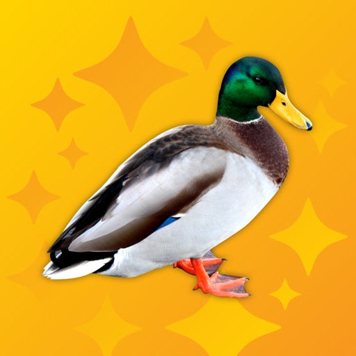 Quack Pro - Duck Sounds icon