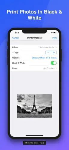 Captura de Pantalla 9 iPrint Printer for AirPrint iphone