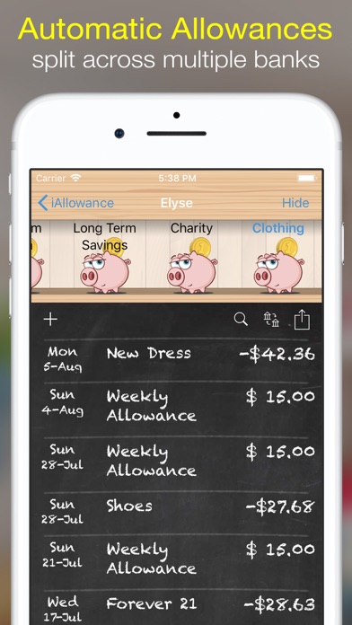 iAllowance Lite with ... screenshot1